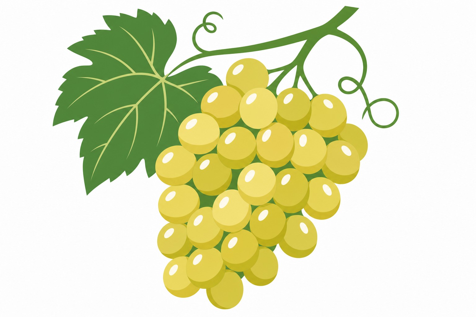 Een close-up van een tros goudgroene wijndruiven nog aan de wijnstok met een blad